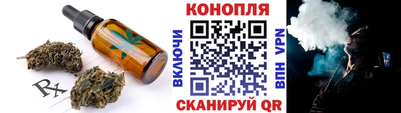 Купить где  Михайловка  Canna-Cookies конопля 